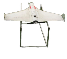 Bat series UAV